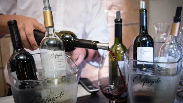 Bodegas Etchart lanzó una nueva línea de vinos