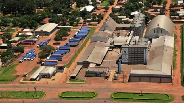 La marca paraguaya que se posiciona en el exterior