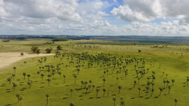 Rocha fue la elegida del verano (recibió 145.000 turistas que gastaron US$140 M)