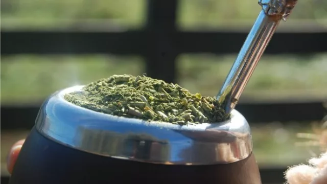 Resultados de Encuesta Anterior