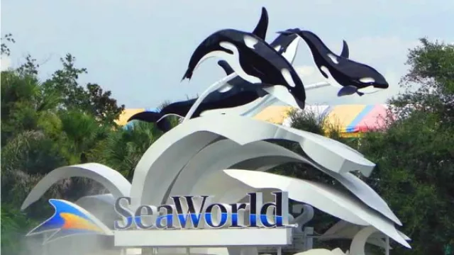 SeaWorld vende 21% de sus acciones al grupo chino Zhonghong Zhuoye