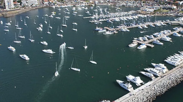 Gol en la hora de Brasil: no, no somos videntes, contra todo pronóstico vinieron más brasileños en verano