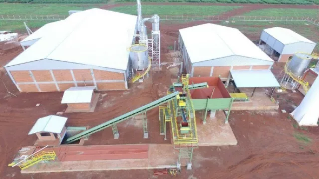 Planta paraguaya producirá 60 toneladas de almidón por día