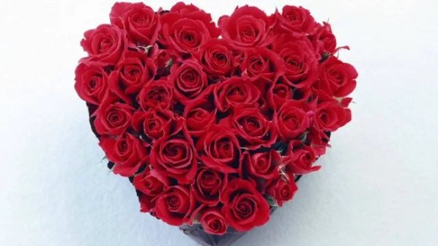 Resultados de Encuesta Anterior