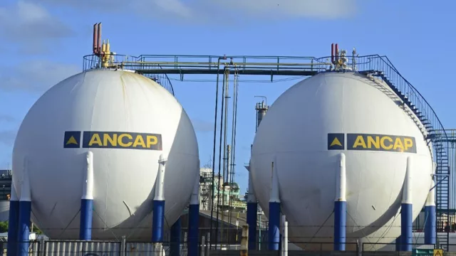 Ancap y su “data center de minerales”: inauguró litoteca en Capurro