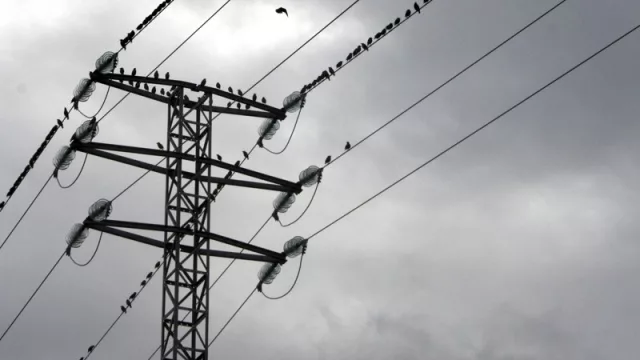 El sector eléctrico se vistió de superhéroe en 2016: su actividad permitió que el PIB uruguayo no cayera