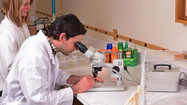  Johnson donará más de un millón de Off y Autan a familias de Uruguay