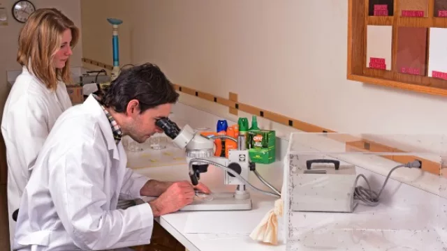 Johnson donará repelentes para combatir el dengue y el zika en las zonas de alto riesgo.