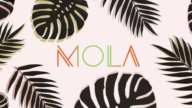 Mola, la plataforma uruguaya enfocada en la moda sustentable y la cultura latina, cautiva a la Unesco