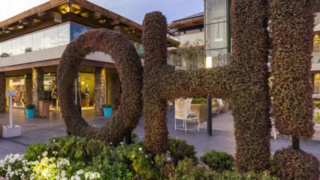 “La Barra va a tener vida todo el año”, la apuesta de Oh! (que pierde dinero pero sabe que después del bronce viene el oro)