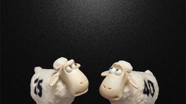 La ovejita de Via Sono está tramitando el pasaporte (próximamente cruzará fronteras)