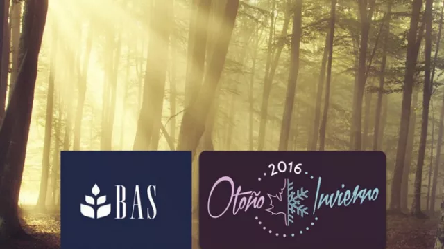 Ta-Ta conquista más terrenos, ahora a través de su tienda de ropa Bas