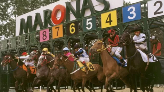 Young & Rubicam con nuevo cliente