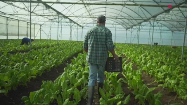 Campaña con trabajadores reales