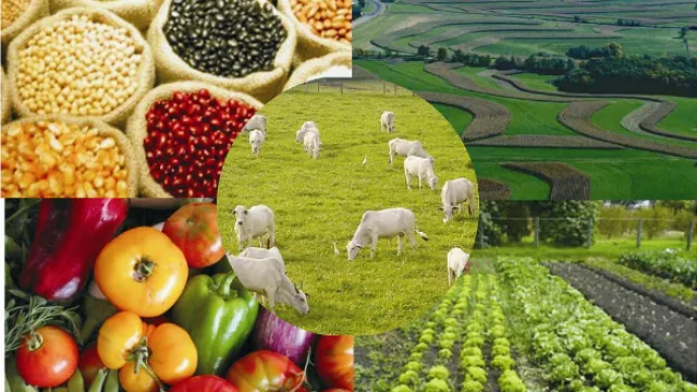 La economía en Paraguay “se mueve” pero sin muchos cambios