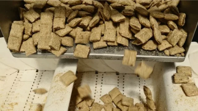 Tu Cereal, firma venezolana, ya está produciendo en Paraguay