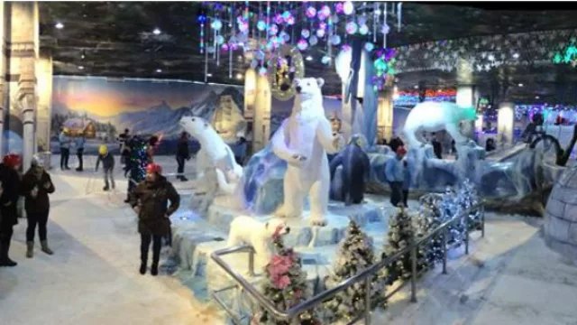 La nieve llegó al CDE: Snow Park