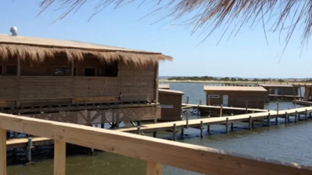 El puente Garzón empieza a dar frutos (reabre Garzuana y sus dueños ponen otro local en Carrasco)