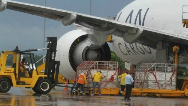 Paraguay envió el sexto embarque de ganado de alta genética