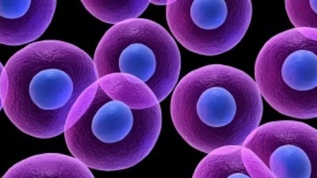 Si fueras a tener un hijo...