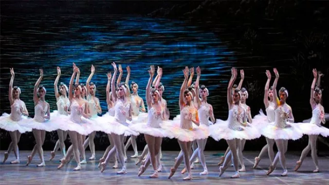 El Ballet Nacional del Sodre recaudó $ 2.027.060 para Aldeas Infantiles