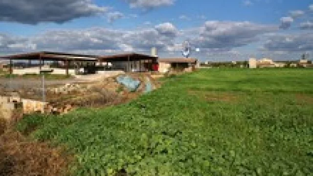 Ruta 5 sentidos trae lo mejor del turismo rural.