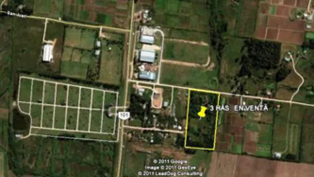 En la Ruta 101 se disparan los precios (piden hasta US$ 150.000 por hectárea)