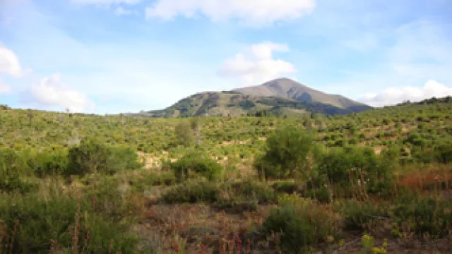 Suite Homes sigue creciendo en Argentina (invertirá US$ 12 millones en Bariloche)