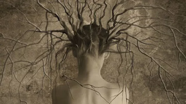 Miren Agur Meabe, Geografía del silencio