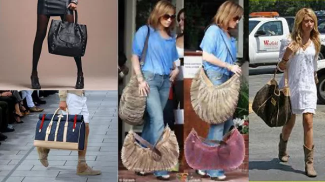 Cocodrilo que se duerme... ¡es cartera!