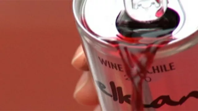 Más dolores de cabeza para los bodegueros... Viña Elkan llegó a Uruguay con su vino en lata