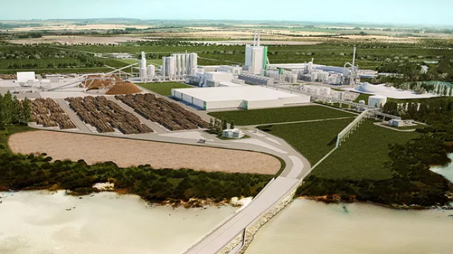 Montes del Plata “calienta los motores” y recibe sus primeros 10 camiones con madera