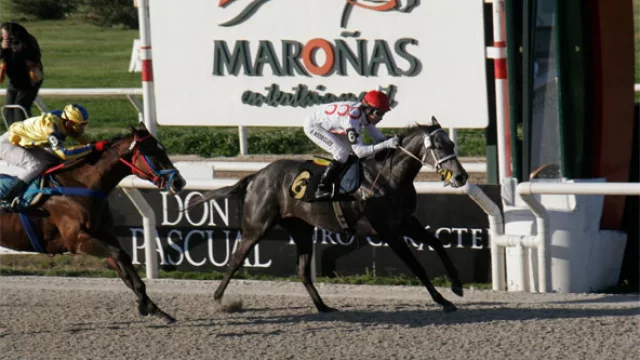 Maroñas activó el negocio turfístico: en 10 años el “premio hípico” se multiplicó por seis