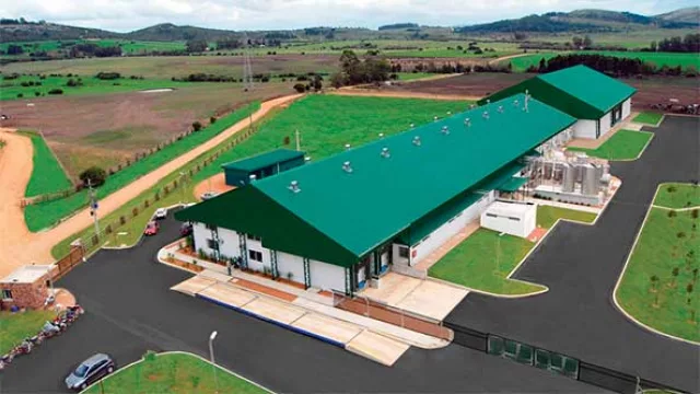 Quesos, leche en botella y en breve alfajores: Talar amplía su horizonte productivo