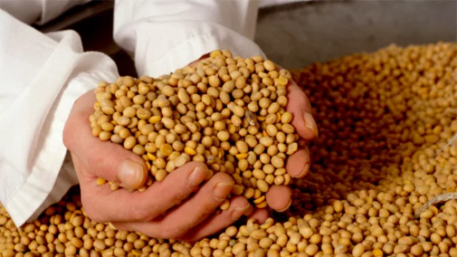 En 2014, 2 de 10 dólares que ingresan por exportaciones provienen de la soja
