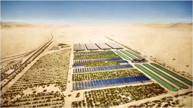 Qatar se prepara para el 2020 (pondrá los “pepinos” que cultiva en el desierto)