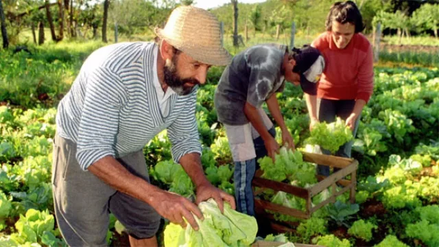 Uruguay tiene 28.000 productores agropecuarios familiares