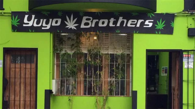 El negocio de Yuyo Brothers crece como la marihuana