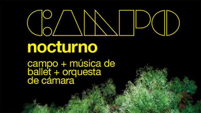 Campo nocturno nativo