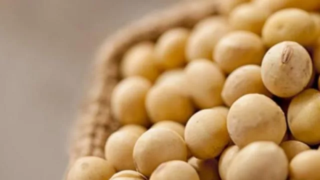 Con el empuje de la soja (exportaciones en julio alcanzaron US$ 1.304 millones)