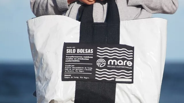 Un mar de cambios (y kilos de plástico reutilizado)