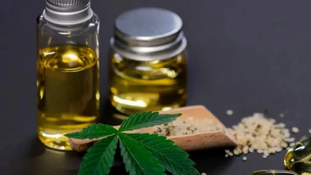 Esta iniciativa va a pegar: buscan abrir la cancha para todo tipo de cannabis (la industria movió US$ 170 millones en la región en 2021)