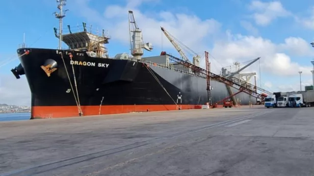 Preparate que entrás, dunnii (productores forestales cercanos a Montevideo encontraron nueva alternativa)