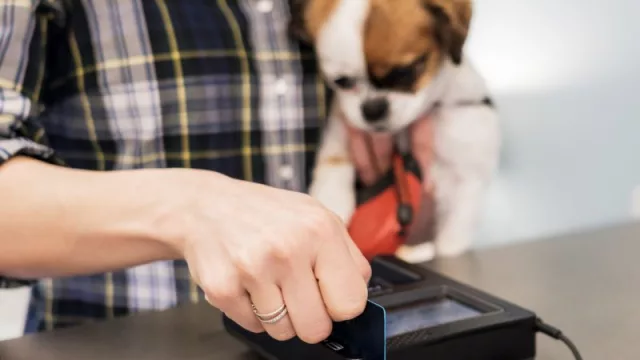 Las mascotas uruguayas consumen más (las compras crecieron un 10% en un año según Visa)