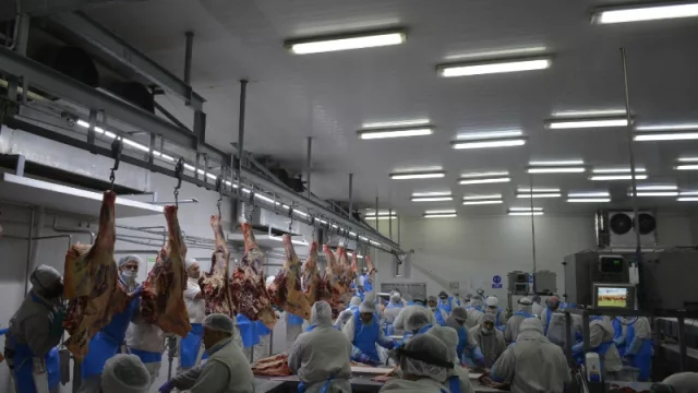 El frigorífico Logros invierte US$ 2.5 millones para producir (y exportar) carne Kosher desde Córdoba