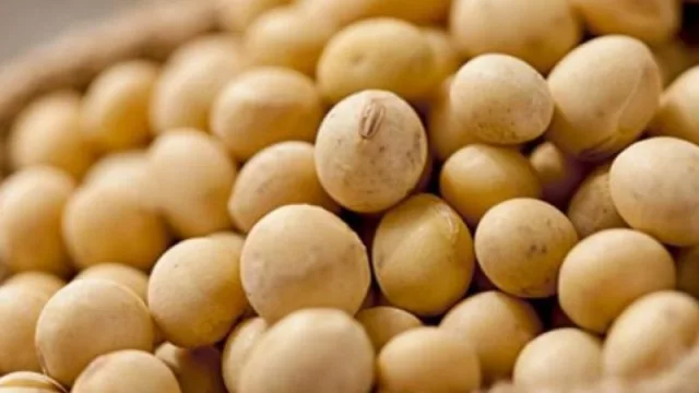 Y la soja sigue empujando (exportaciones en agosto alcanzaron US$ 1.231 millones)