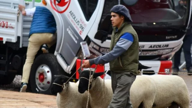 Ni un m2 libre para la Expo Prado 2022 (y sólo en entradas recaudará más de US$ 3 millones)