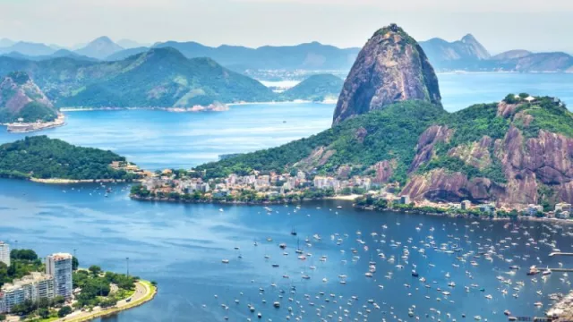 Exportaciones uruguayas se perfilan para un nuevo récord