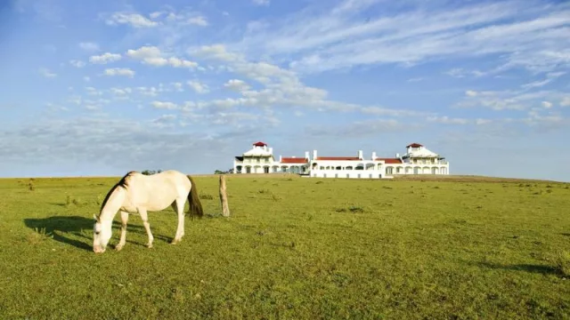 Vik Retreats anuncia la reapertura de todas sus propiedades en José Ignacio y da la bienvenida a una nueva temporada de verano