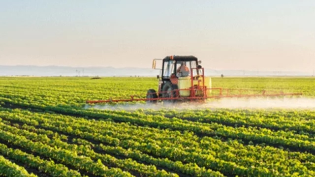 Cuando la economía va al ritmo del campo (impacto de los agronegocios en UY)